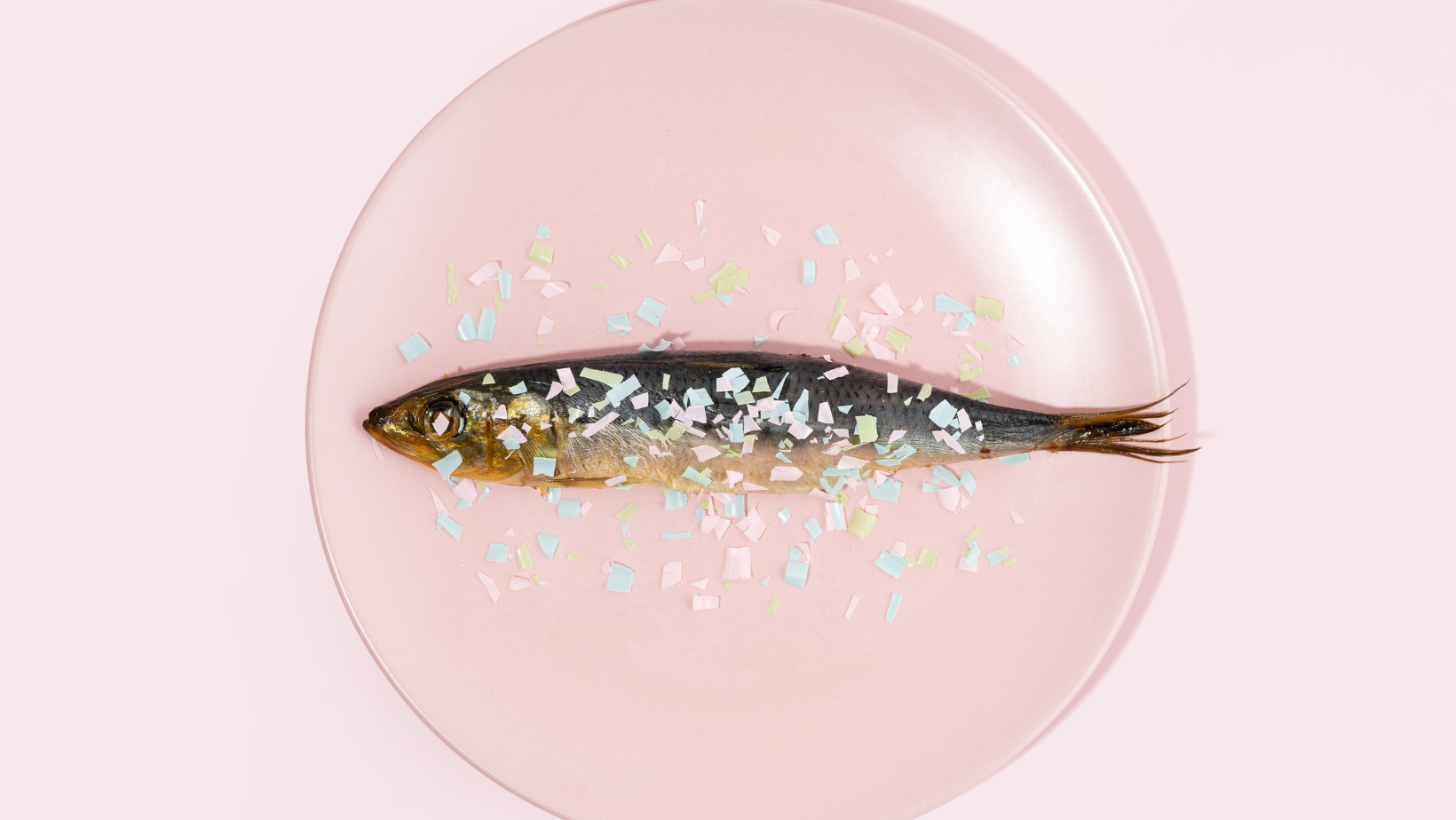 Microplastics: The Tiny Troublemakers